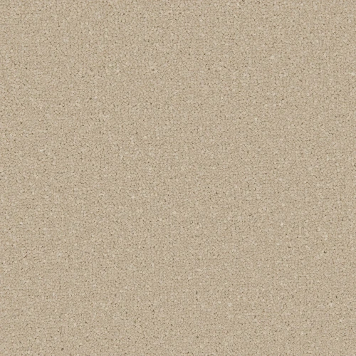 Apollo Plus