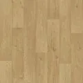 MOUNTAIN OAK