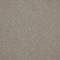 Harbour Grey