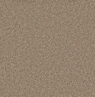 Forest Bark (2347)