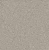 Frost Fern (2352)