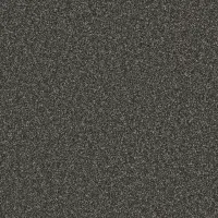 Starlight (2160)