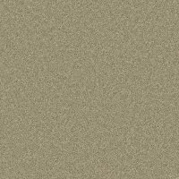 Olive (2146)