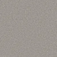 Pebble (2151)