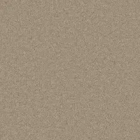 Light & Airy Tranquil Truffle (4101)