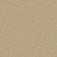 Light & Airy Light Lace (4102)
