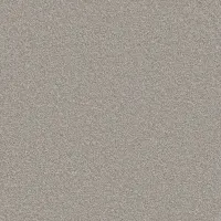 Husky (1031)