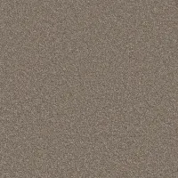 Limed Oak (1038)