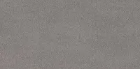 Silver (1894)