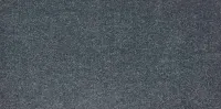 Blue Shadow (1885)