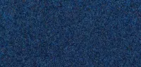 Lagoon Blue (5516)