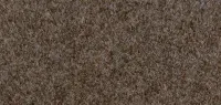 Beige (1153)