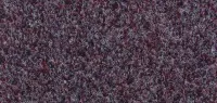 Plum (3399)