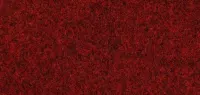 Red (3353)