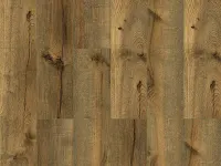 Erne Oak (FRV008)