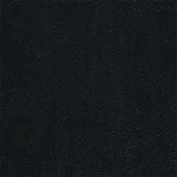 BLACK RAVEN 01