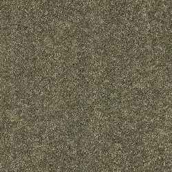 DUSTY FERN 14