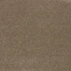 CARACAL 762